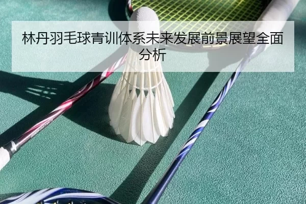 林丹羽毛球青训体系未来发展前景展望全面分析