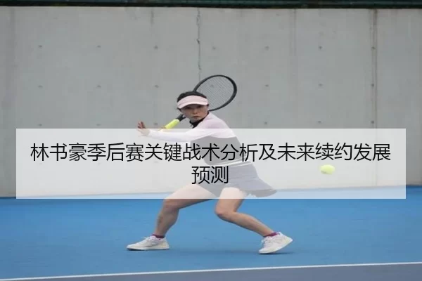 林书豪季后赛关键战术分析及未来续约发展预测